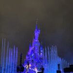 Bona Instagram - happiest place on earth🤍🏰❄️💟