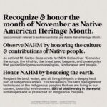 Brandon Routh Instagram - #Repost credit: @mattmcgorry #Repost from @ndncollective - “2020 is the year to tell the REAL story of Thanksgiving. Let’s talk. • Thank you so much to @soyouwanttotalkabout for reaching out and collaborating on this post!“