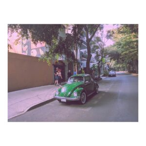 Bridgit Mendler Instagram - 💜 Beautiful Mexico City 💜