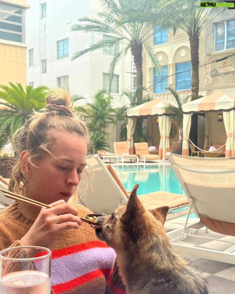 Britt Robertson Instagram - You haven’t missed much 🐶✈️🏖️👻🎄💇‍♀️💕
