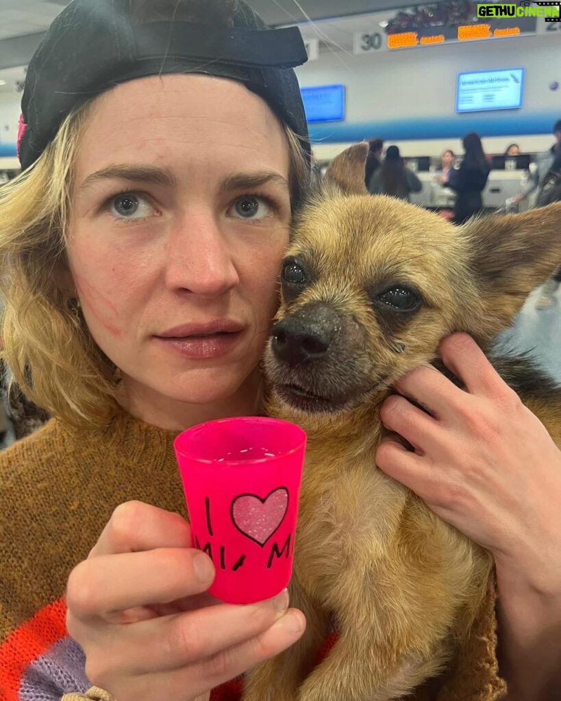 Britt Robertson Instagram - You haven’t missed much 🐶✈️🏖️👻🎄💇‍♀️💕