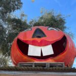 Brooke Elizabeth Butler Instagram - let’s make pumpkin patches a year round thing