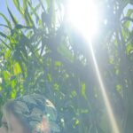 Brooke Elizabeth Butler Instagram - let’s make pumpkin patches a year round thing