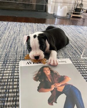 Brooke Shields Thumbnail - 80.8K Likes - Most Liked Instagram Photos