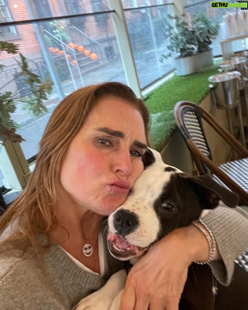 Brooke Shields Instagram - My daughter 🥹🐾