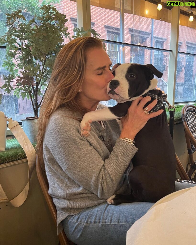 Brooke Shields Instagram - My daughter 🥹🐾