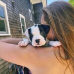 Brooke Shields Instagram - World, meet Tuzi. Tuzi, meet world. You know we couldn’t go long without puppy love in our house. 🐾🥹🐶🩷