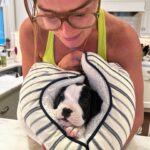 Brooke Shields Instagram - Lately… it’s mostly Tuzi ☀️🐾🍯💛