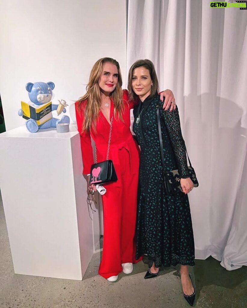 Brooke Shields Instagram - Take home a nude!!! Always one of my favorite events of the year ❤ @newyorkacademyofart #takehomeanude