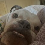 Brooklyn Decker Instagram - Tis the season of inspiration 💫 . . . . And turmoil, unease, stress, devastation, but trying to look at all the inspiraaation 🫠