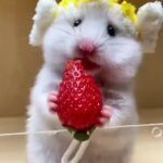 Bruna Lombardi Instagram - Amados, e o que a gente fala dessa carinha? #animals #love #cute