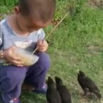 Bruna Lombardi Instagram - A delicadeza da alma se mostra em pequenos gestos. Beleza é isso. #amor #birds #birdsofinstagram #animals