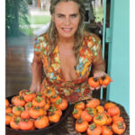 Bruna Lombardi Instagram - Sempre falo em árvores e olha como elas são generosas aqui em casa. Tivemos mangas, jabuticabas, pitangas e agora uma infinidade de caquis. Todos os anos todo mundo adora, principalmente os passarinhos! Qual sua fruta favorita?