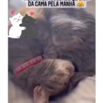 Bruna Lombardi Instagram - Quem mais tá assim nessa segunda? #redefelicidade #animals #cat