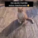 Bruna Lombardi Instagram - Olha só gente quem merece o Oscar de melhor atuação...