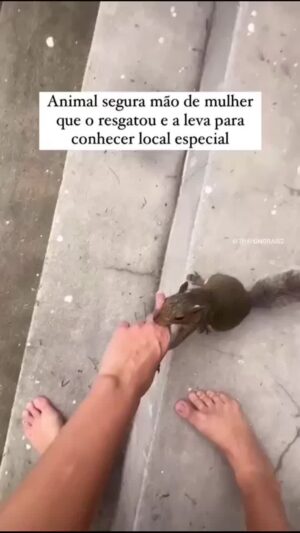 Bruna Lombardi Instagram - Gente olha só como esses bichinhos nos emocionam ❤️
