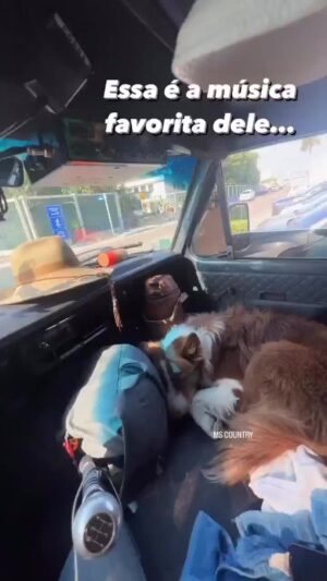 Bruna Lombardi Instagram - Acorda pra cantar!!! Bom dia, amados!

#redefelicidade
#animais 
#cachorro
#música