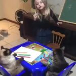 Bruna Lombardi Instagram - Uma boa professora sempre depende da atenção dos alunos.