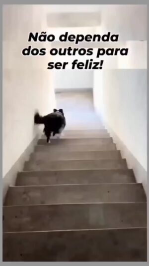 Bruna Lombardi Instagram - Dá pra ser feliz sozinho, né gente?