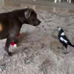 Bruna Lombardi Instagram - Amigo não precisa ser igual... #diferenças #amizade #carinho