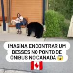 Bruna Lombardi Instagram - O que você faria? #emoçoes #calma #sentimenros #animals