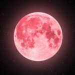 Bruna Lombardi Instagram - Amados, essa lua cheia é muito auspiciosa 🌕 Nessa época, muitas tradições ancestrais comemoram o Festival de Wesak que celebra a iluminação de Buda. E dizem que muitos Mestres e energias do bem se aproximam da Terra ❤️ Aproveitem para mentalizar coisas boas pra sua vida e pra todo planeta! Alguns chamam simbolicamente de Lua Cheia Rosa 💕 E ela está no signo de Escorpião, que traz ainda mais profundidade e transmutação. Vamos nos conectar ✨