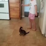 Bruna Lombardi Instagram - Crianças que crescem amando os animais são mais felizes. #crianças #felicidade #alegria
