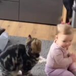 Bruna Lombardi Instagram - Gente e esse cabelo? #cute #babies #catslove #fofura