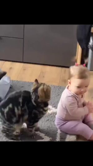 Bruna Lombardi Instagram - Gente e esse cabelo? 

#cute
#babies
#catslove
#fofura