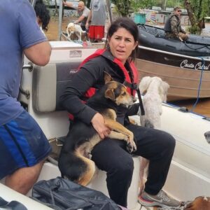 Bruna Lombardi Instagram - Gente, vamos seguir ajudando o nosso RS! A @deisefalci está fazendo um trabalho de super heroína! Ela já resgatou mais de 700 animais… em condições surreais e ela não desiste! Os bichos muitas vezes acabam sendo deixados pra trás ou se perdem e precisam muito da nossa ajuda ❤️ Quem puder doar algo, doe. A ajuda de cada um de nós faz uma diferença gigante!

Deise Falci de Castro
PIX: deisefalci@gmail.com