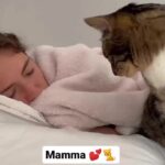 Bruna Lombardi Instagram - Pra quando acordar na segunda precisa de um reforço extra... Via: @marleymalin #redefelicidade #cats
