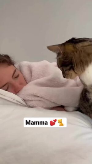 Bruna Lombardi Instagram - Pra quando acordar na segunda precisa de um reforço extra...

Via: @marleymalin
#redefelicidade
#cats