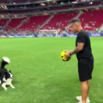 Bruna Lombardi Instagram - Treinando o campeão... Via: dog_altinha #redefelicidade #esporte #futebol #animais