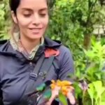 Bruna Lombardi Instagram - Que sua semana comece com toda a natureza vibrando pra você. Um beijo ⭐ Via: @magdalena_sanchez_birds #natureza #inspiraçao #vibraçao