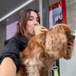 Bruna Vieira Instagram - Até que horas você pode tomar café sem perder o sono? Ontem eu falhei e tomei depois das 4, mas hoje vai dar certo. Passei o dia me arrastando de tanto sonoOoOoOoOo porque dormi mal. Em minha defesa, tem aconchego que só a cafeína e um carinho no nosso cachorro conseguem proporcionar ✌🏻💤