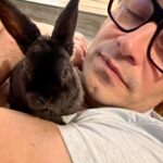 Élodie Gossuin Instagram – 3𝓮̀𝓶𝓮 𝓹𝓪𝓲𝓻𝓮 𝓭𝓮 𝓳𝓾𝓶𝓮𝓪𝓾𝔁 🥰🐰🐰

On a adopté des lapins de Pâques Pac & Man 😂❤️

Si vous leur donniez un prénom ? 😍

{ Joséphine & Léonard les ont baptisés Hoppi et Hippo }

🌻 Adoption à la ferme @jardinshautefontaine . Merci à vous et 🙌 pour l’agriculture que vous représentez si bien