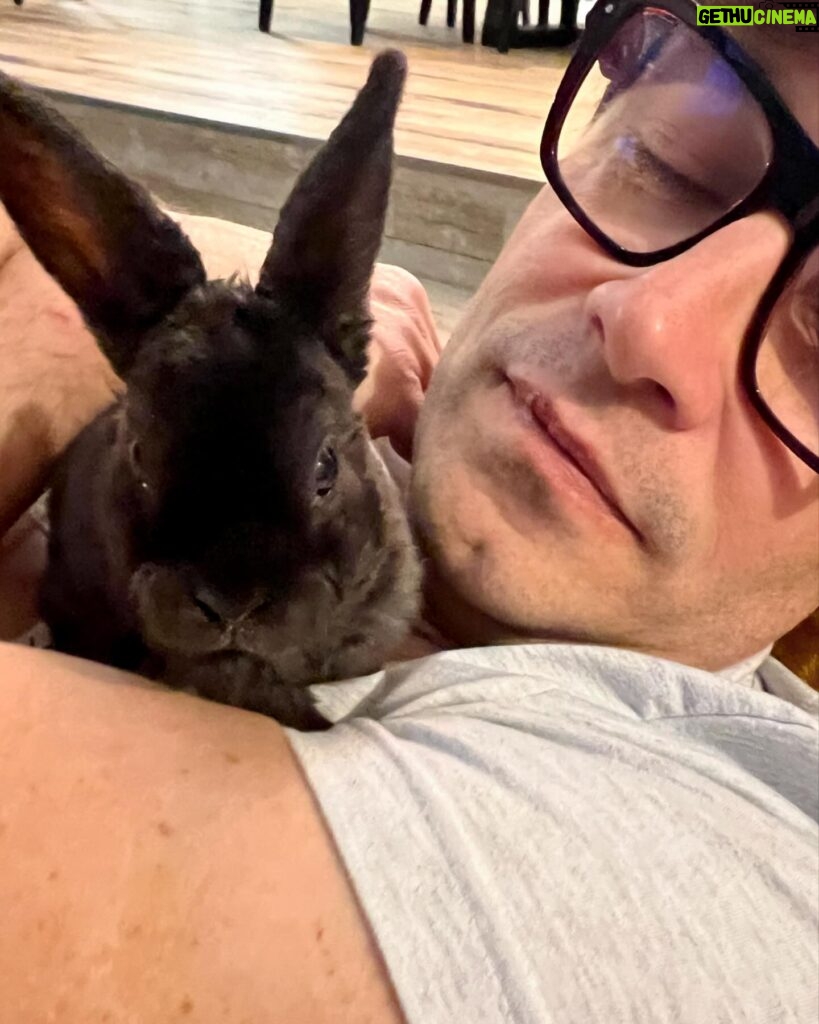 Élodie Gossuin Instagram - 3𝓮̀𝓶𝓮 𝓹𝓪𝓲𝓻𝓮 𝓭𝓮 𝓳𝓾𝓶𝓮𝓪𝓾𝔁 🥰🐰🐰 On a adopté des lapins de Pâques Pac & Man 😂❤️ Si vous leur donniez un prénom ? 😍 { Joséphine & Léonard les ont baptisés Hoppi et Hippo } 🌻 Adoption à la ferme @jardinshautefontaine . Merci à vous et 🙌 pour l’agriculture que vous représentez si bien