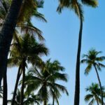 Émilie Nef Naf Instagram - 🏝️🥹☀️🍍💛
