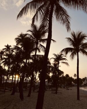 Émilie Nef Naf Instagram - Tchimbé rèd pa moli 🇬🇵☀️ #guadeloupe