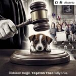 Özge Özder Instagram - #Repost @dtkdeniz with @use.repost ・・・ Hiç bir insana zarar gelmeden ve hiç bir canlıyı öldürmeden çözüm üretmek mümkündür. Yapılması gereken; mevcut yasayı olduğu gibi uygulamak, bu çerçevede düzenleme yapmak ve eğitim ile ortadaki yanlış sonuçları elbirliği ile kaldırmaktır. Devletimizin bu konuda sağduyu ile sahadan edineceği doğru bilgilendirmeler ışığında, yasalara, ahlaka vicdana ve dine uygun bir çözüm bulacağına dair inancımız sonsuzdur. #devletöldürmezyaşatır