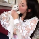 Özlem Balcı Instagram - Kedi size “muhtaç” görünse de sevginin ne olduğunu en usturuplu anlatan bağımsız canlı. Bir kediyi uzun süre sevmeden ve istikrarlı sevgisine nail olmadan sevgi bilgisinde çok da iddialı olmamak lazım🧿🤍