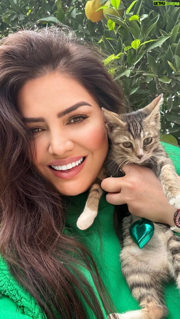 Özlem Balcı Instagram - Her başarılı kadının arkasında mutlaka birden fazla kedi vardır😻🧿😀