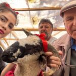 Özlem Balcı Instagram - Bu anlamlı günde abimle birlikte babama hediye olarak o çok istediği Koç’u aldık.Mutluluğuna kurban olduğum Babacığım ve Başta aziz şehitlerimizin kıymetli babaları olmak üzere, büyük Türk milletinin asil evlatları olan Ülkü Ocaklı her genci evladı bilen Bilge Liderimiz, saygıdeğer büyüğümüz Sn. Devlet Bahçeli Beyefendi'nin şahsında tüm babalarımızın ve kendi babam Mehmet Balcı’nın #BabalarGünü kutlu olsun🇹🇷🇹🇷🇹🇷