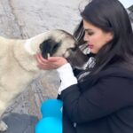 Özlem Balcı Instagram – Sevgiyle yaklaştığınız her canlıdan alacağınız karşılık yine sevgidir. Nefreti değil sevgiyi büyütün . Kaosu değil çözümü büyütün . Sokak hayvanları mahallelerin sokakların süsüdür . Suçlu ve bedel ödemesi gereken onlar değildir !
Gücüm yettiğince elimden geldiğince sizleri koruyacağıma söz veriyorum🤍🧿💓