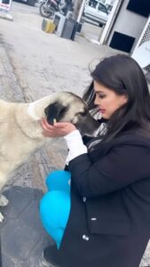 Özlem Balcı Instagram - Sevgiyle yaklaştığınız her canlıdan alacağınız karşılık yine sevgidir. Nefreti değil sevgiyi büyütün . Kaosu değil çözümü büyütün . Sokak hayvanları mahallelerin sokakların süsüdür . Suçlu ve bedel ödemesi gereken onlar değildir ! Gücüm yettiğince elimden geldiğince sizleri koruyacağıma söz veriyorum🤍🧿💓