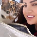 Özlem Balcı Instagram - Zarife’nin çantada ne var bakışı😜🧿🤍