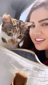 Özlem Balcı Instagram - Zarife’nin çantada ne var bakışı😜🧿🤍