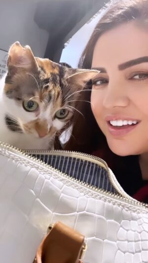 Özlem Balcı Instagram - Zarife’nin çantada ne var bakışı😜🧿🤍