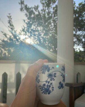 İclal Aydın Instagram - Hoşçakal Mavi Panjurlu Ev💙 
Seni gördüğüm ilk an çok sevmiştim, biliyorsun. 
İkimizi çok benzetirdi insanlar anımsıyor musun? “Bu ev aynı sen, sen tıpkı bu evsin” derdi görenler…
Ayvalık’ta hayatımın en mutlu ve mutsuz, en sevinçli ve üzgün, en başarılı ve yenik hissettiğim günlerinin ortağı oldun. Balkonun, terasın, pencerelerin, odaların şahane arkadaşlarımın sesleriyle, gülüşleriyle doldu. 
Üç Kız Kardeş’i hayal ederek yazdığım yerden el ettin bana. Kalbini, kapını açtın. 
Kısa zamanda çok şey yaşadık birlikte. 
Hayatımda bir devir daha bitti ve sen buna sessizce eşlik ettin... 
şimdi seni yeni konuklarına bırakıyorum. 
Onlara da bana verdiğin eşsiz sabahları, günleri, geceleri göstereceksin biliyorum. Sesini dinlet. Bizi anlat. Buradan şahane çocuklar geçti, ve onlar “bir devir muhteşemdiler” de…
Ben seni hiç unutmayacağım. Sen de beni unutma. 
Evimden ayrılmak zor ama..
Daha da zoru bu veda sanırım..
Hoşçakal Ayvalık. 
Bana verdiğin, kattığın her şey için sana hep minnettarım…
Gerçekten uğurlu bir yuva oldun…💙