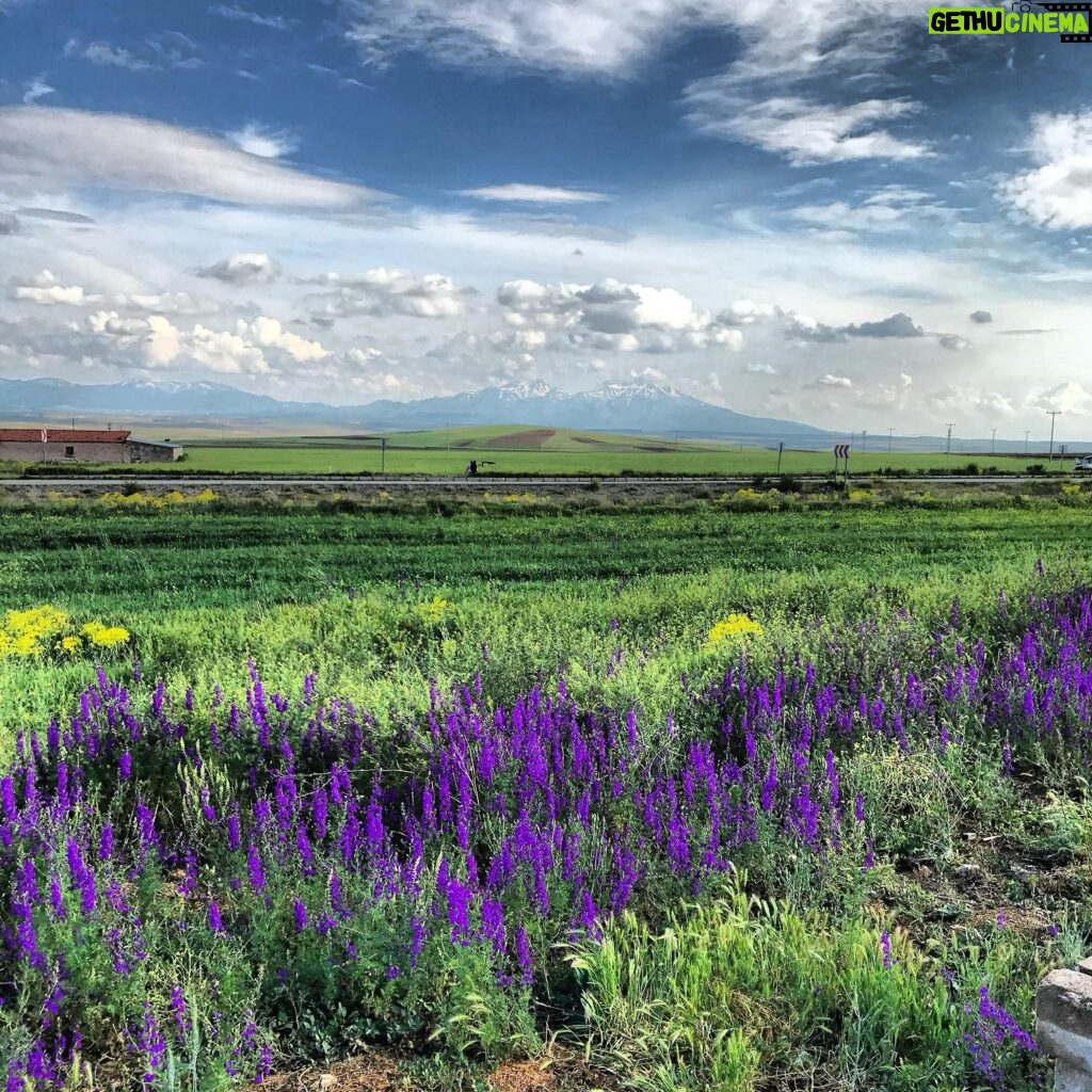 İclal Aydın Instagram - Sen Türkiye gibi aydınlık ve güzelsin… 💙 Merhaba bahar, hoş geldin ! Neredeydin sen? 😉